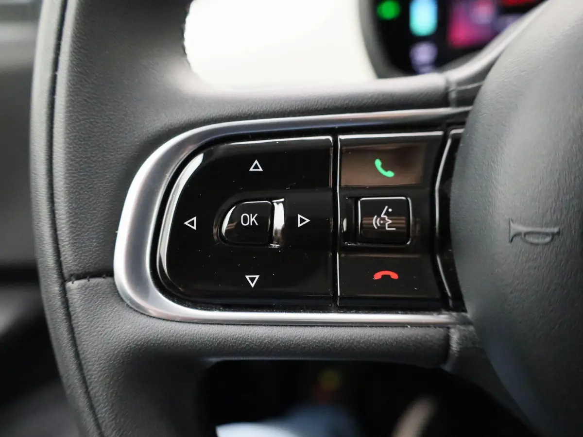 Icon 42 kWh APPLE/ANDROID CARPLAY - LICHTMETALEN VELGEN - NAVIGATIESYSTEEM - 12 MAANDEN BOVAG GARANTIE