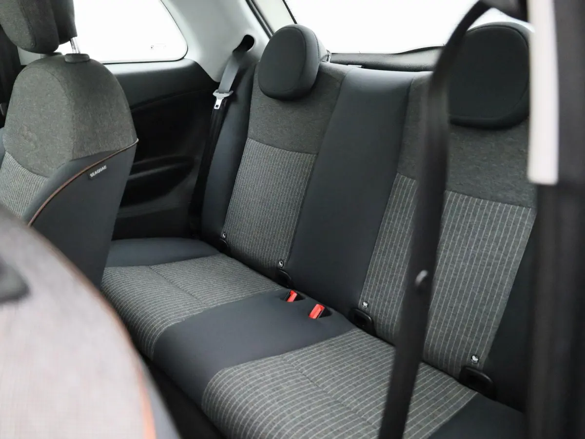 Icon 42 kWh APPLE/ANDROID CARPLAY - LICHTMETALEN VELGEN - NAVIGATIESYSTEEM - 12 MAANDEN BOVAG GARANTIE