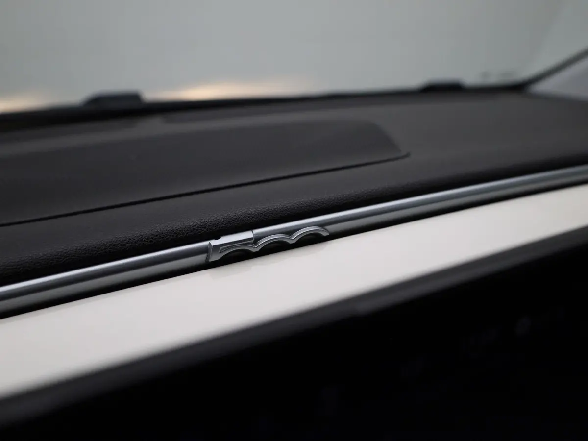 Icon 42 kWh APPLE/ANDROID CARPLAY - LICHTMETALEN VELGEN - NAVIGATIESYSTEEM - 12 MAANDEN BOVAG GARANTIE