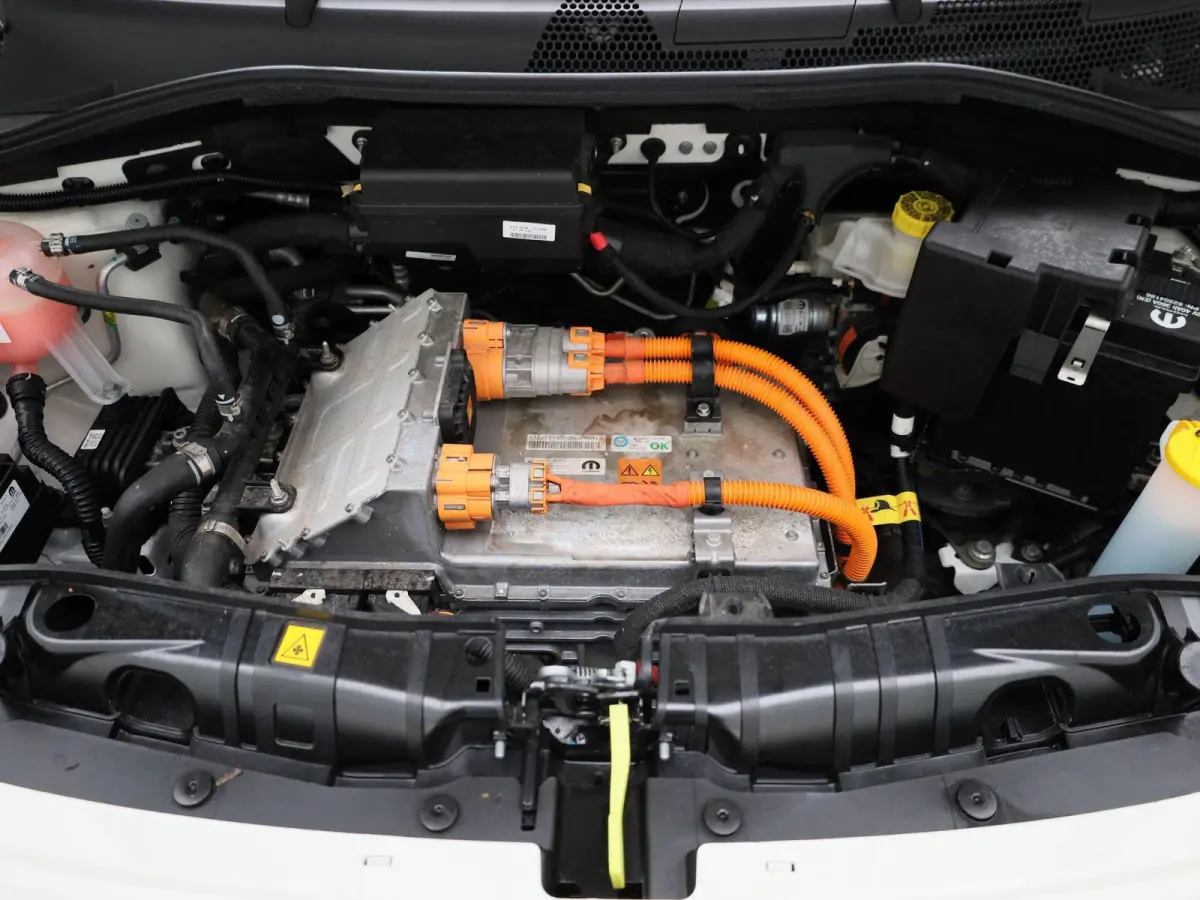 Icon 42 kWh APPLE/ANDROID CARPLAY - LICHTMETALEN VELGEN - NAVIGATIESYSTEEM - 12 MAANDEN BOVAG GARANTIE