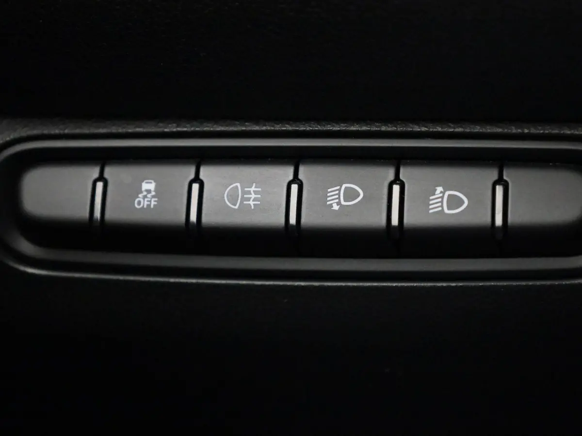 Icon 42 kWh APPLE/ANDROID CARPLAY - LICHTMETALEN VELGEN - NAVIGATIESYSTEEM - 12 MAANDEN BOVAG GARANTIE