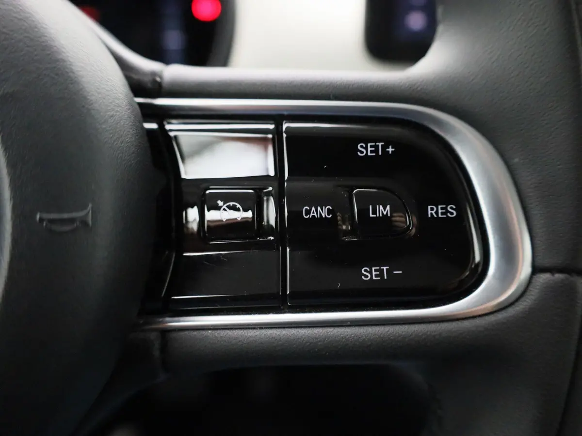 Icon 42 kWh APPLE/ANDROID CARPLAY - LICHTMETALEN VELGEN - NAVIGATIESYSTEEM - 12 MAANDEN BOVAG GARANTIE