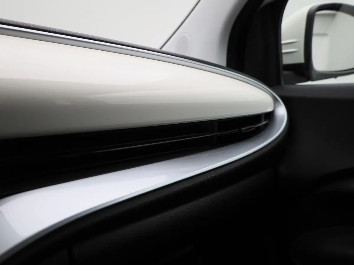 Icon 42 kWh APPLE/ANDROID CARPLAY - LICHTMETALEN VELGEN - NAVIGATIESYSTEEM - 12 MAANDEN BOVAG GARANTIE