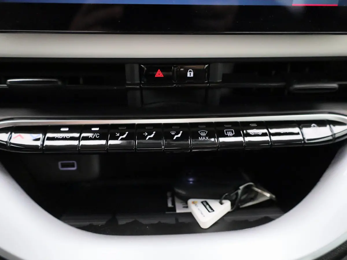 Icon 42 kWh APPLE/ANDROID CARPLAY - LICHTMETALEN VELGEN - NAVIGATIESYSTEEM - 12 MAANDEN BOVAG GARANTIE