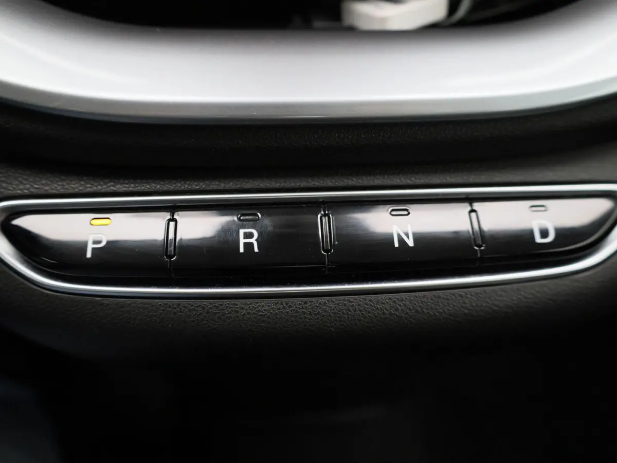 Icon 42 kWh APPLE/ANDROID CARPLAY - LICHTMETALEN VELGEN - NAVIGATIESYSTEEM - 12 MAANDEN BOVAG GARANTIE