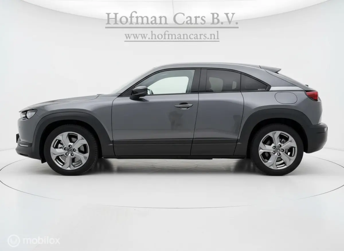 e-SkyActiv 145 - SOH 94% - 36 kWh – NAP – Camera - NL Auto – Fabrieksgarantie batterij