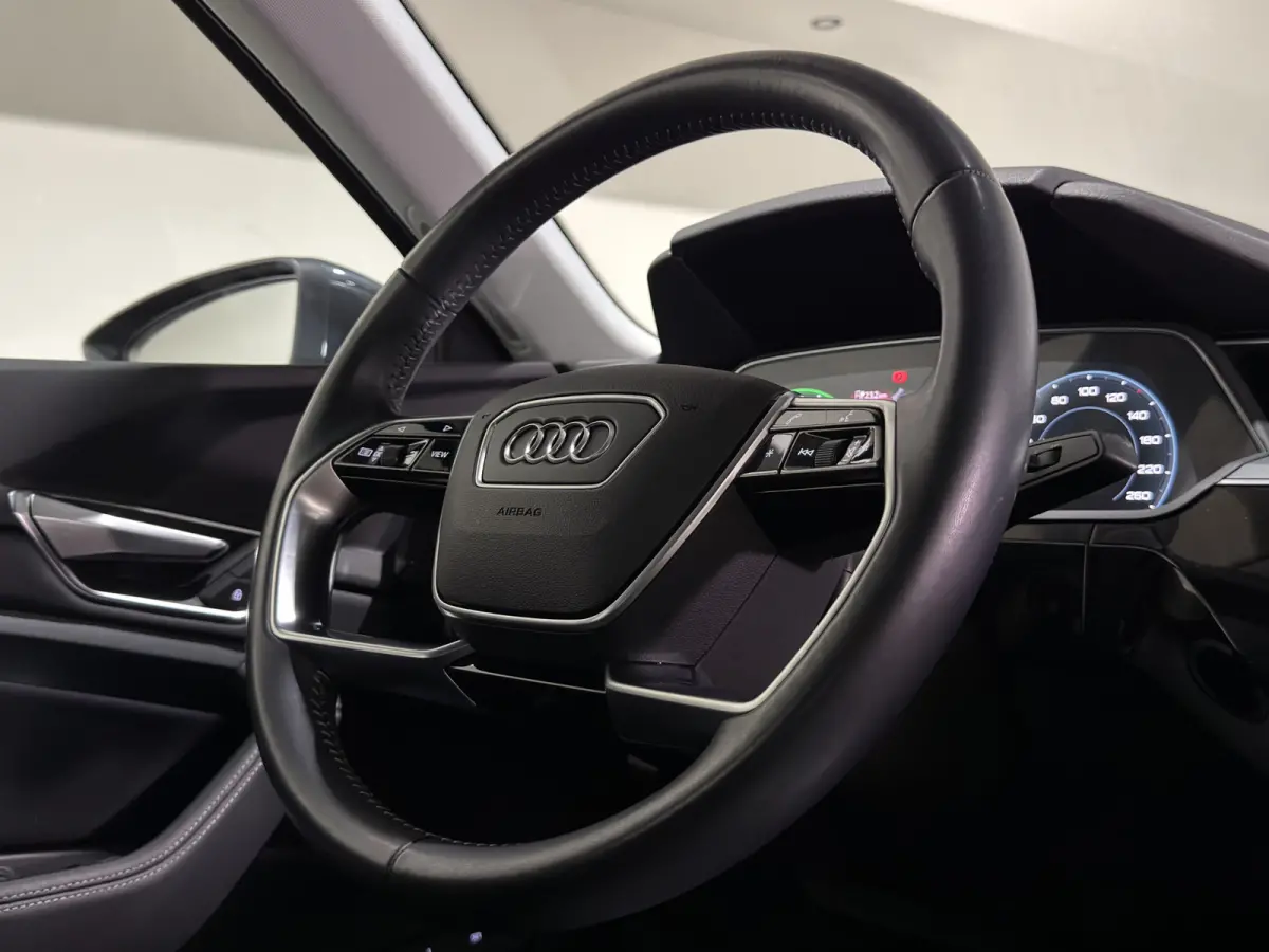 55 quattro Business edition Plus 95 kWh | SOH 92,3 % | Leder interieur | Pano dak | Trekhaak