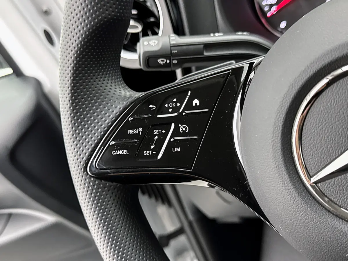 119 CDI L3 Pro Led Stoelverwarming Parkeerpakket Betimmering Cruise control