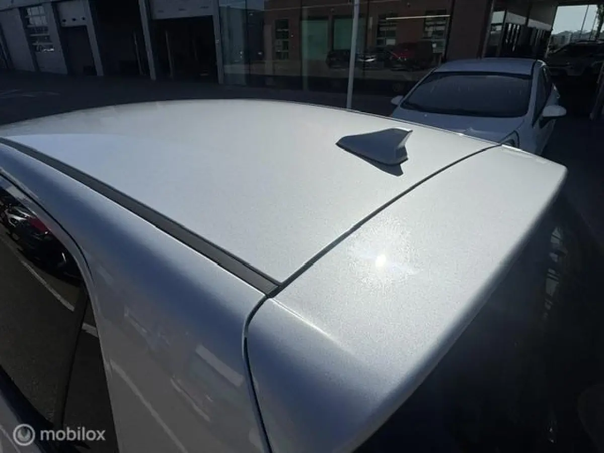 1.0 DPi Dynamic Edition - Stoel & Stuurverwarming, Navigatie via Carplay, Camera achter, Airco, Electr ramen en spiegels, Deurvergr. met afst.diening, Priveglas, Sport Velgen