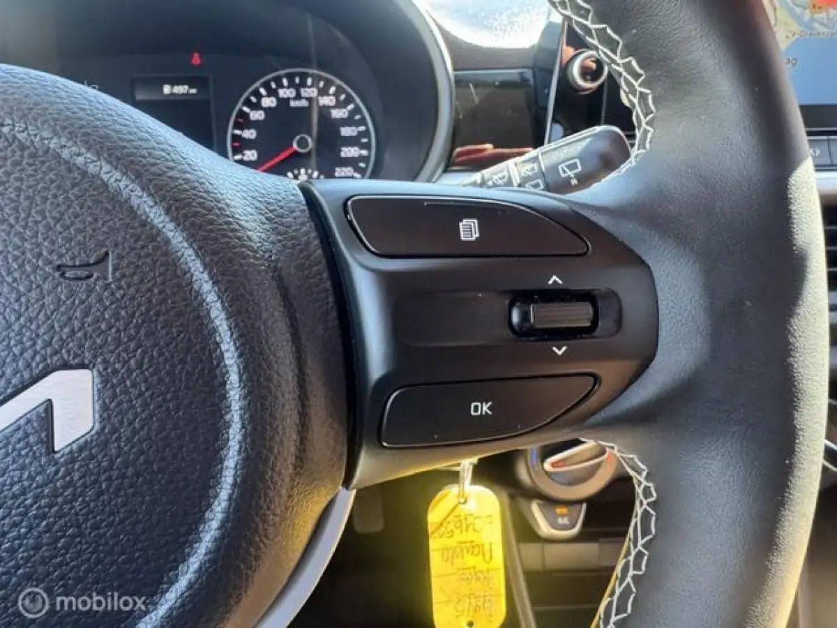 1.0 DPi Dynamic Edition - Stoel & Stuurverwarming, Navigatie via Carplay, Camera achter, Airco, Electr ramen en spiegels, Deurvergr. met afst.diening, Priveglas, Sport Velgen