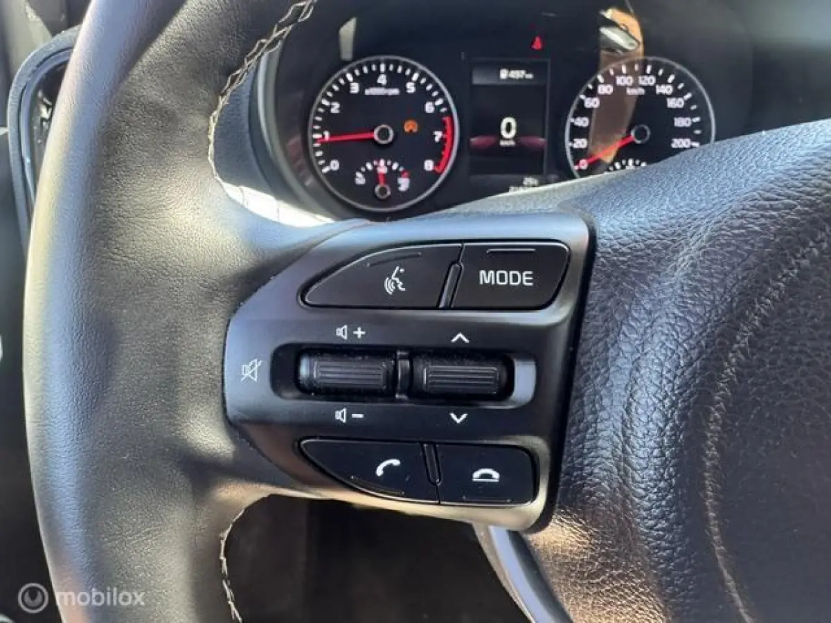 1.0 DPi Dynamic Edition - Stoel & Stuurverwarming, Navigatie via Carplay, Camera achter, Airco, Electr ramen en spiegels, Deurvergr. met afst.diening, Priveglas, Sport Velgen