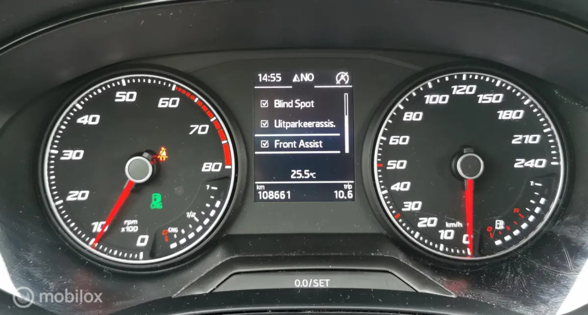 1.0 TGI STYLE/90PK/CAMERA/CARPLAY/DAB/CRUISE/PDC/