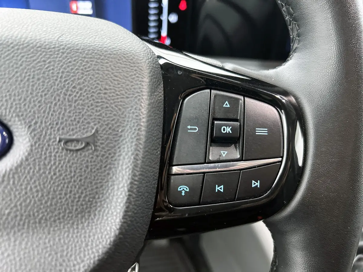 300 2.0 TDCI L2H1 Limited