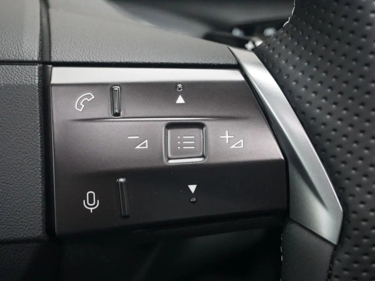 1.6 Turbo Plug-in-Hybrid Business Edition Panoramadak