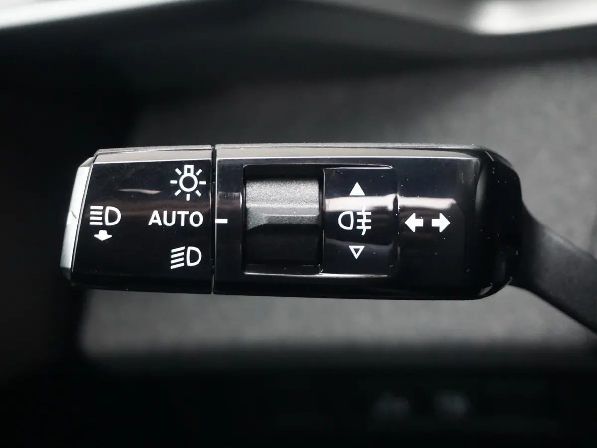 1.6 Turbo Plug-in-Hybrid Business Edition Panoramadak