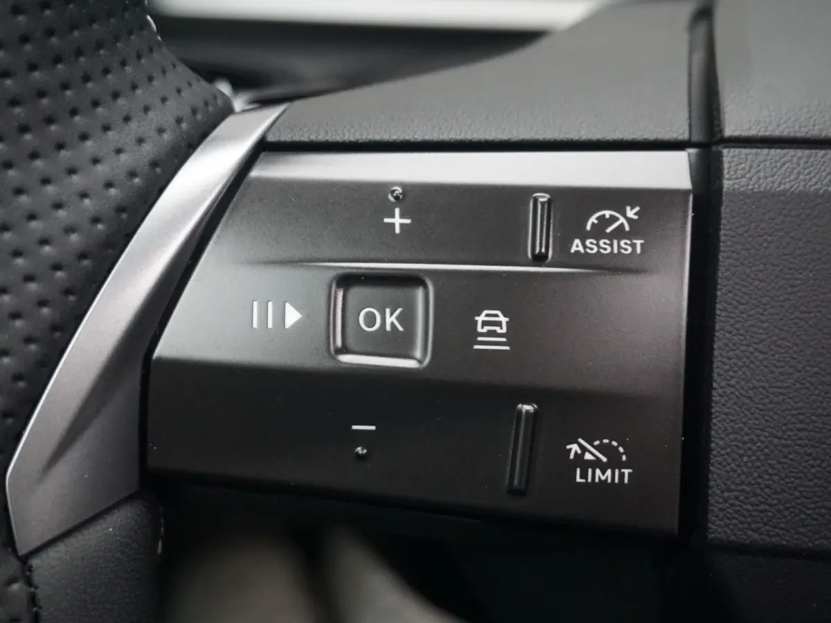 1.6 Turbo Plug-in-Hybrid Business Edition Panoramadak