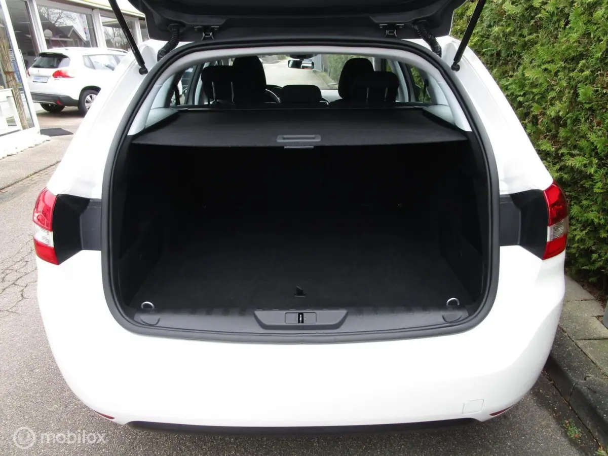 1.2 PureTech Active 110 PK