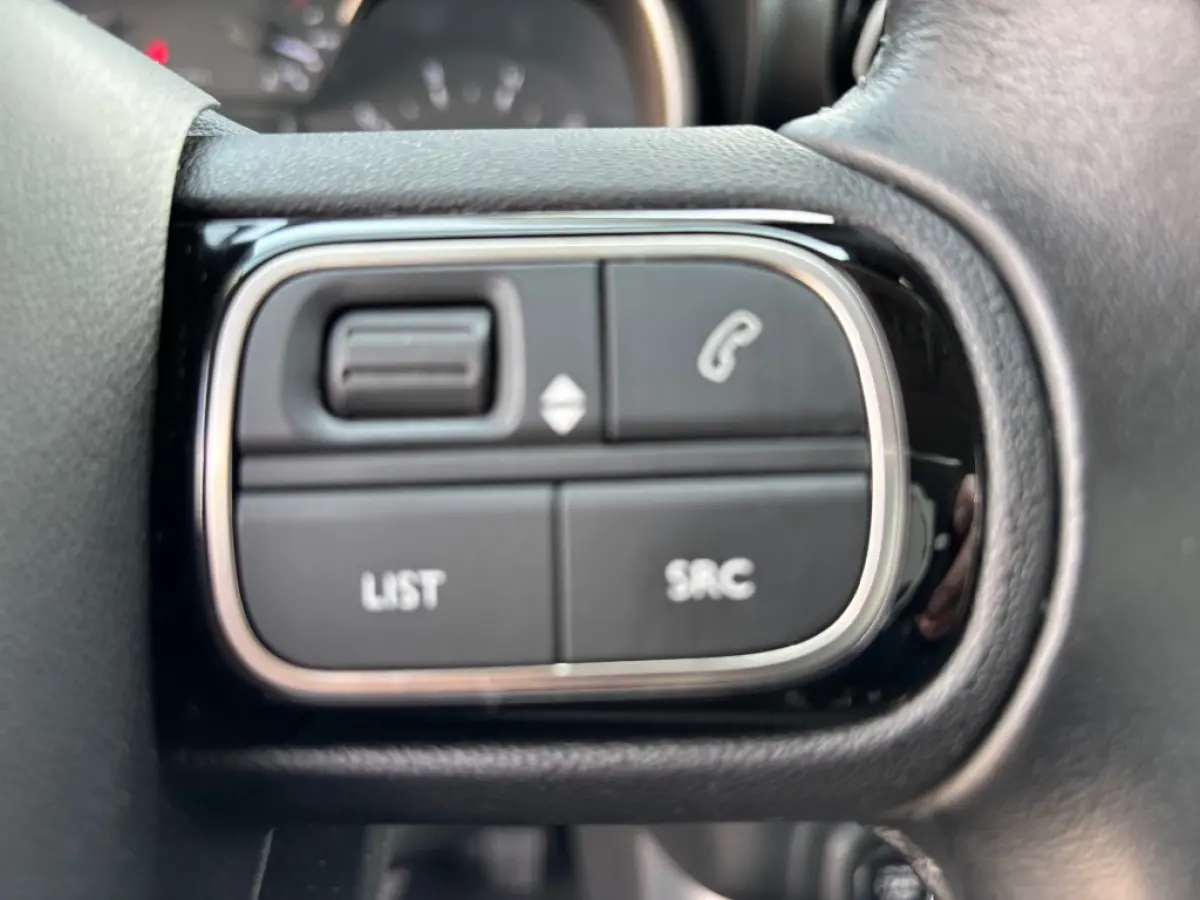 1.2 PT S&S SHINE 110 PK CARPLAY AIRCO/ECC NAVI PDC,