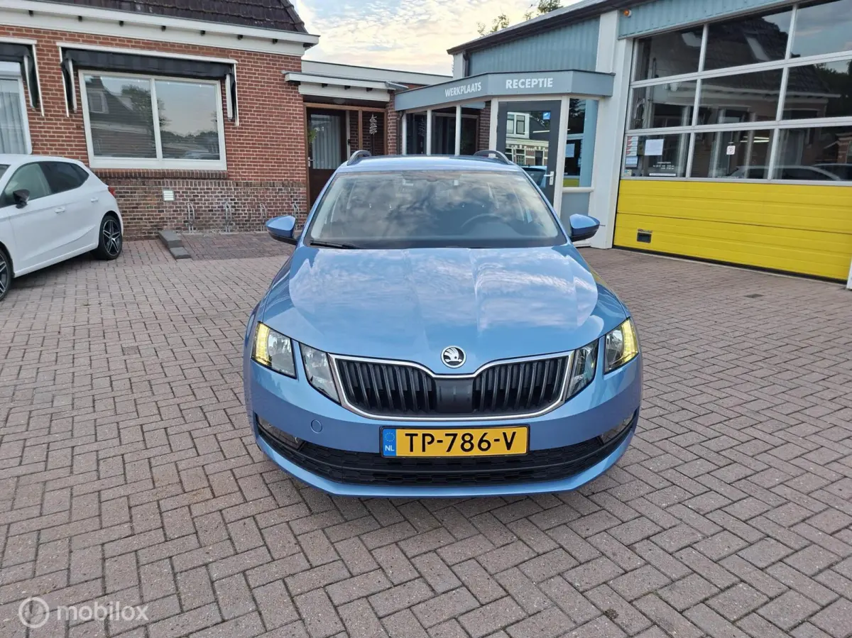 1.0 TSI Greentech Ambition Business