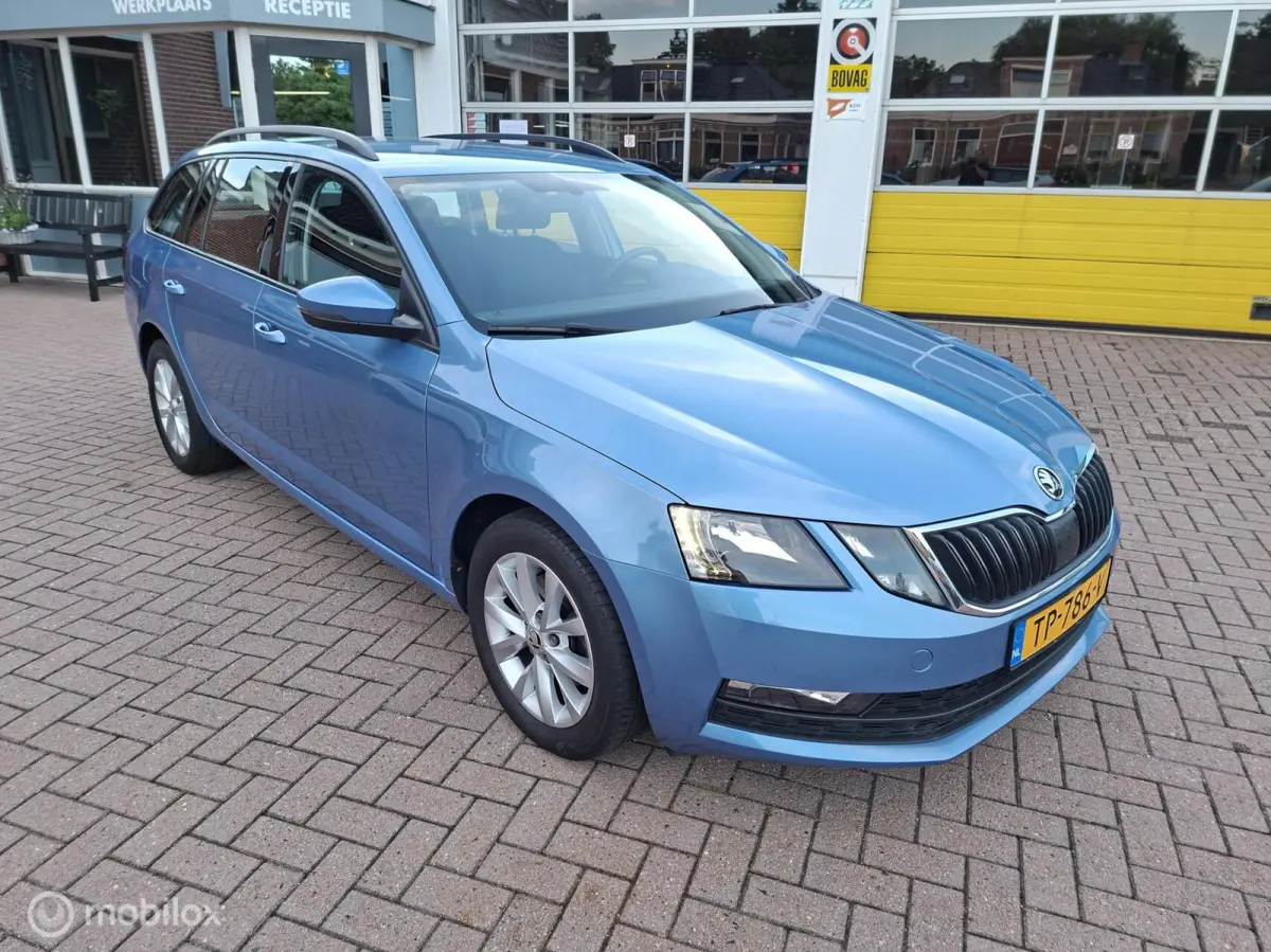 1.0 TSI Greentech Ambition Business