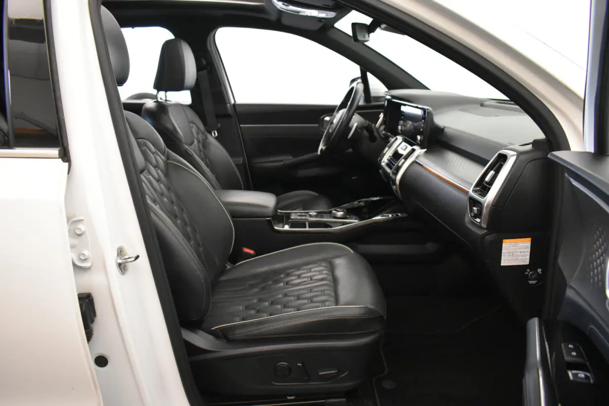1.6 T-GDI Plug-in Hybrid 4WD Executive Trekh Pano Bose leder Donkere hemel
