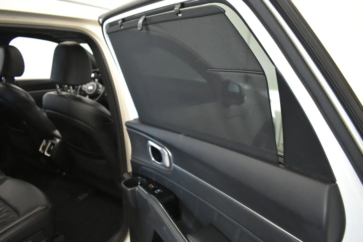1.6 T-GDI Plug-in Hybrid 4WD Executive Trekh Pano Bose leder Donkere hemel