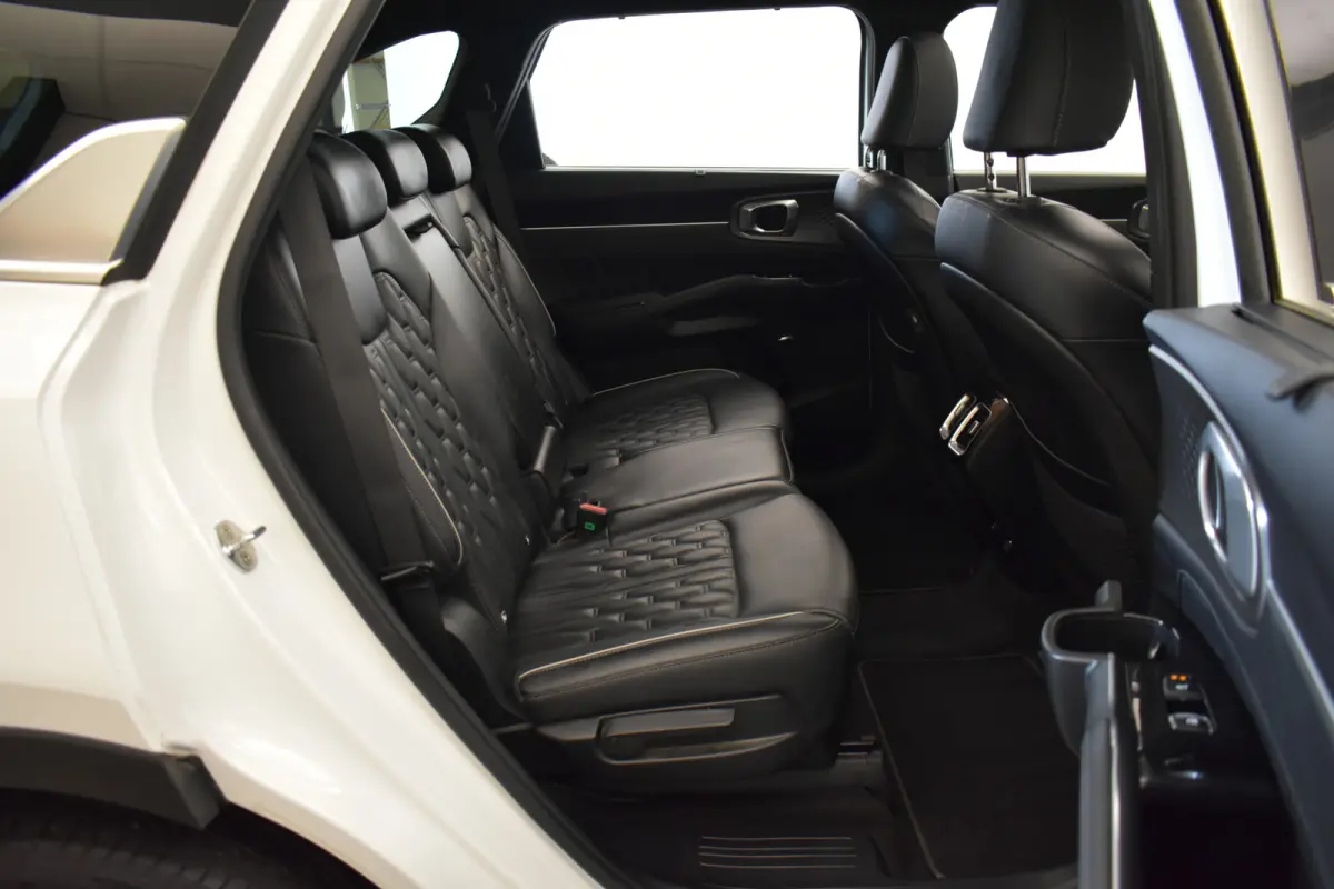 1.6 T-GDI Plug-in Hybrid 4WD Executive Trekh Pano Bose leder Donkere hemel