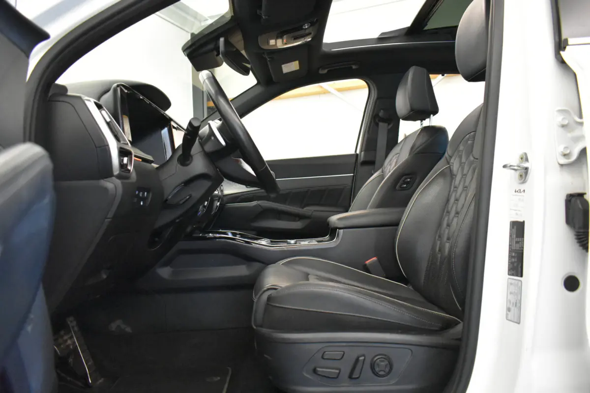 1.6 T-GDI Plug-in Hybrid 4WD Executive Trekh Pano Bose leder Donkere hemel
