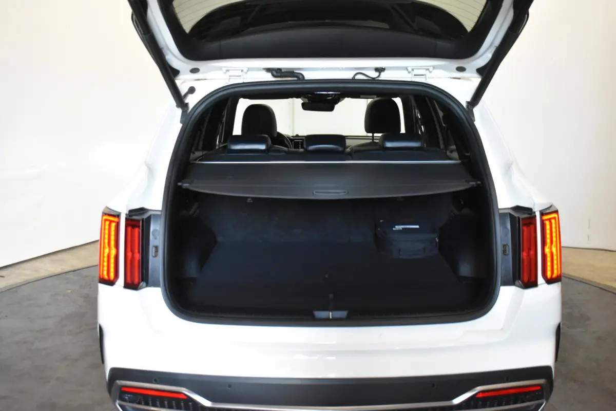 1.6 T-GDI Plug-in Hybrid 4WD Executive Trekh Pano Bose leder Donkere hemel