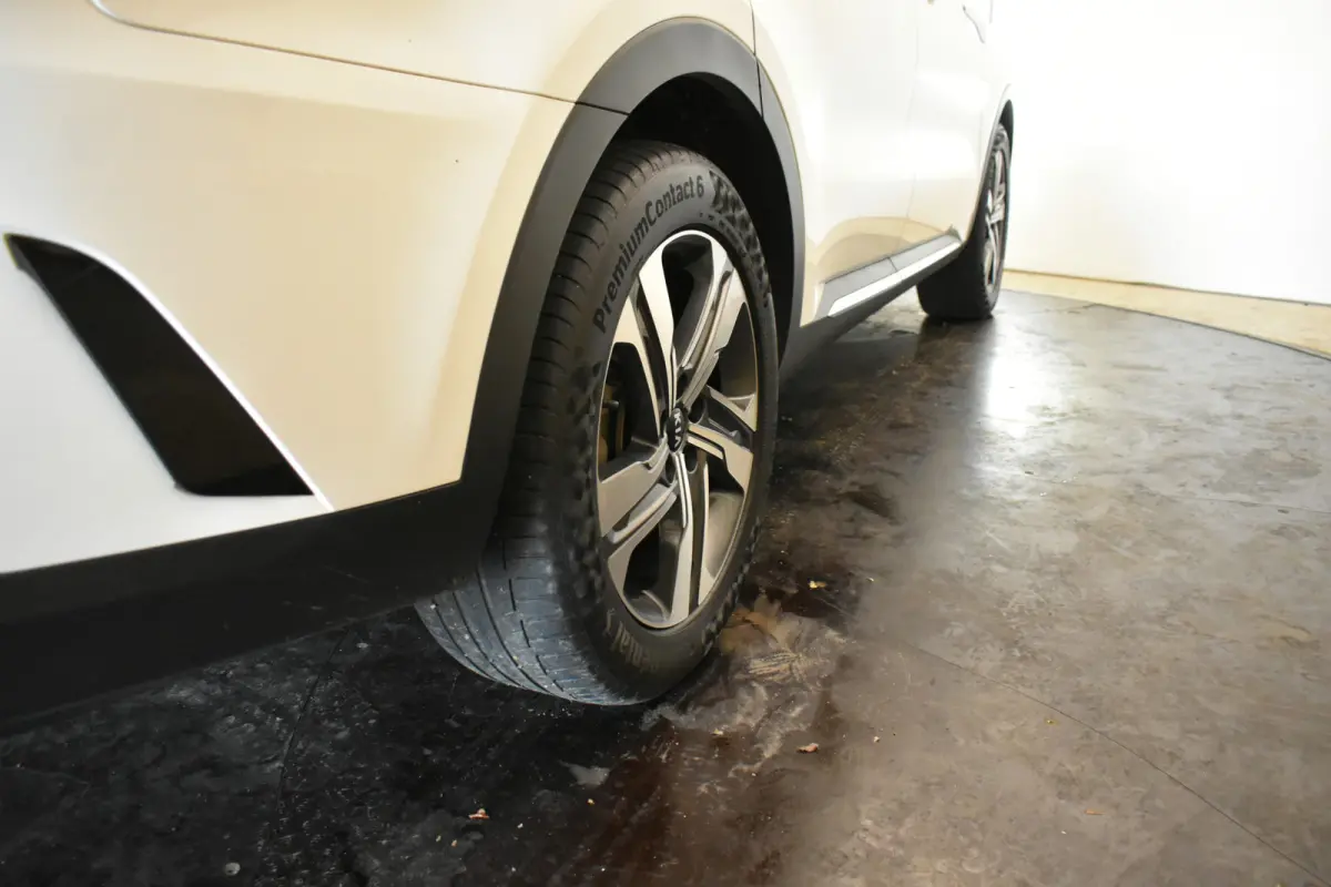 1.6 T-GDI Plug-in Hybrid 4WD Executive Trekh Pano Bose leder Donkere hemel