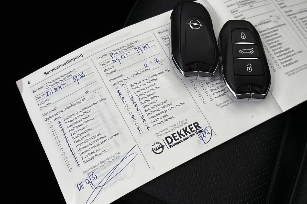 1.6 Turbo Plug-In Hybrid Ultimate / Lederpack/ Winterpack / 19'' velgen