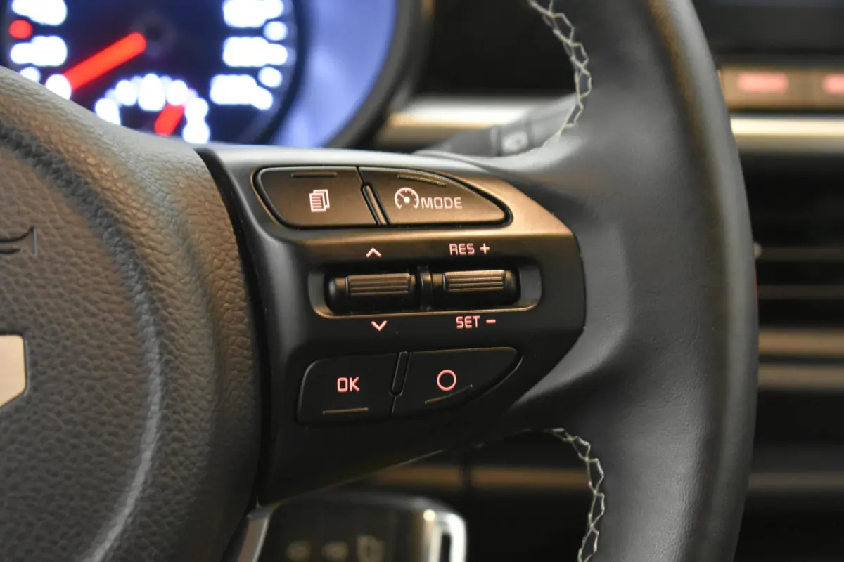 1.0 DPi DynamicLine Camera Cruise Navi Carplay NAP