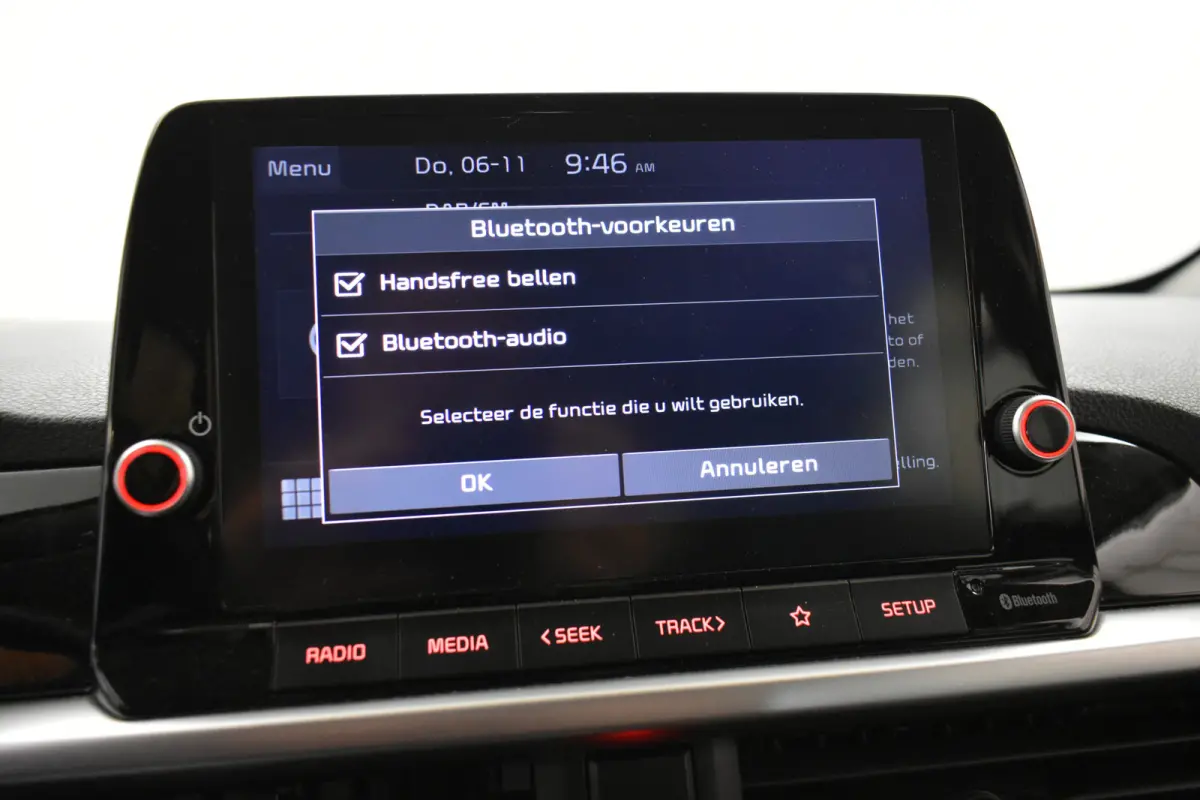 1.0 DPi DynamicLine Camera Cruise Navi Carplay NAP