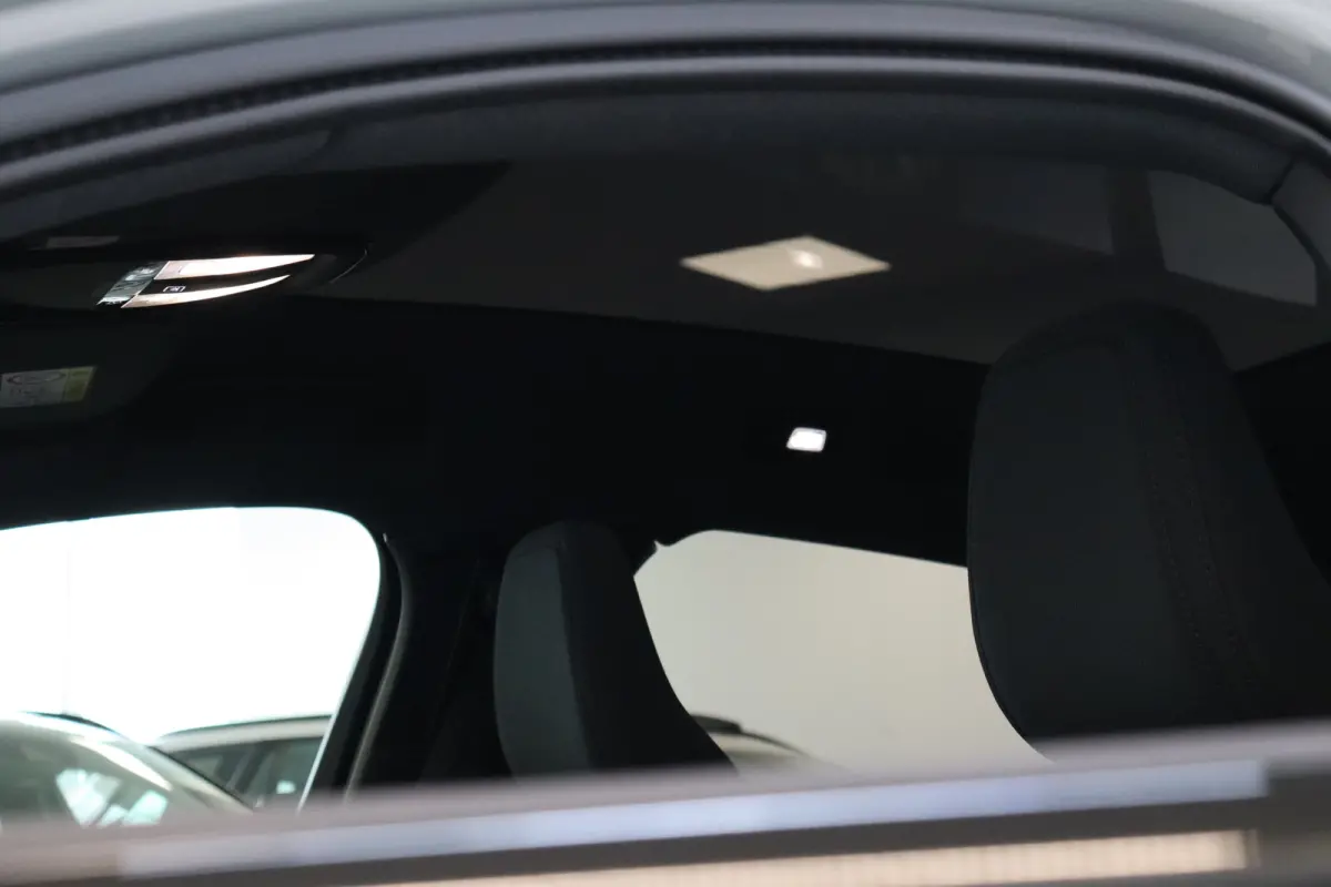 Single 238PK Plus Black Edition 70kWh | Getint Glas | Climate | HK Audio | BLIS | Pilot Assist | 20'''