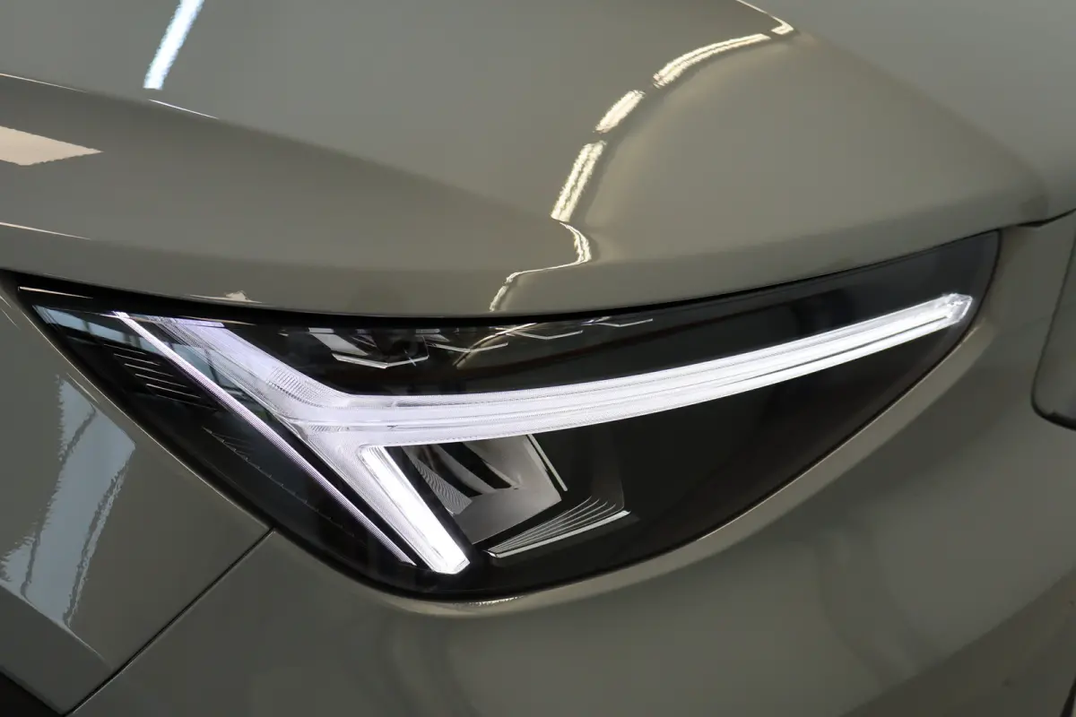 Single 238PK Plus Black Edition 70kWh | Getint Glas | Climate | HK Audio | BLIS | Pilot Assist | 20'''