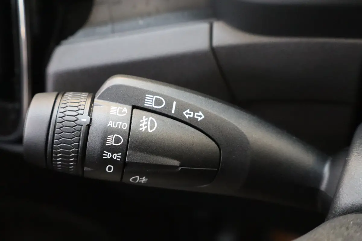 Single 238PK Plus Black Edition 70kWh | Getint Glas | Climate | HK Audio | BLIS | Pilot Assist | 20'''