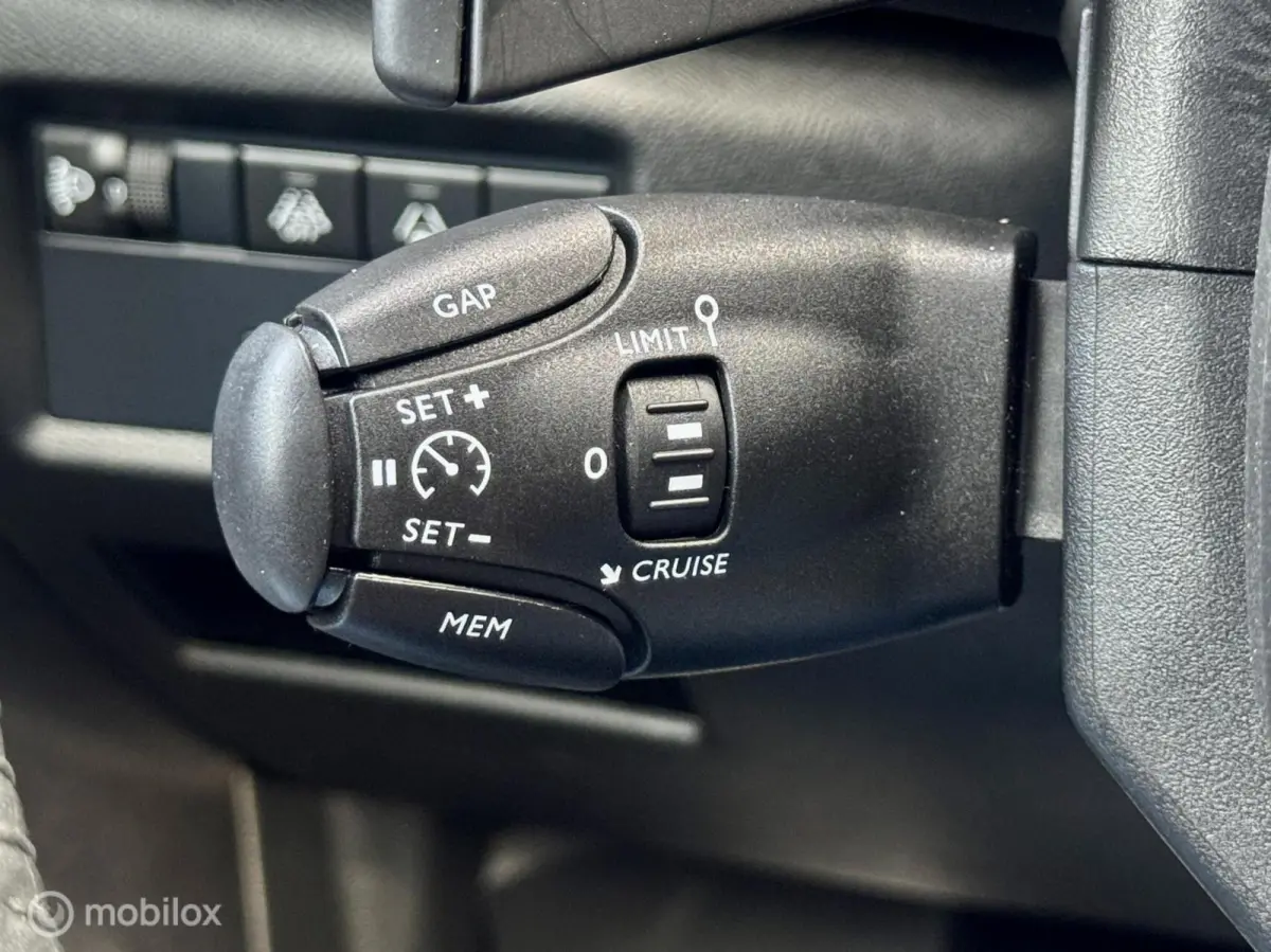 Plug-in Hybrid 225 Shine I Leder I