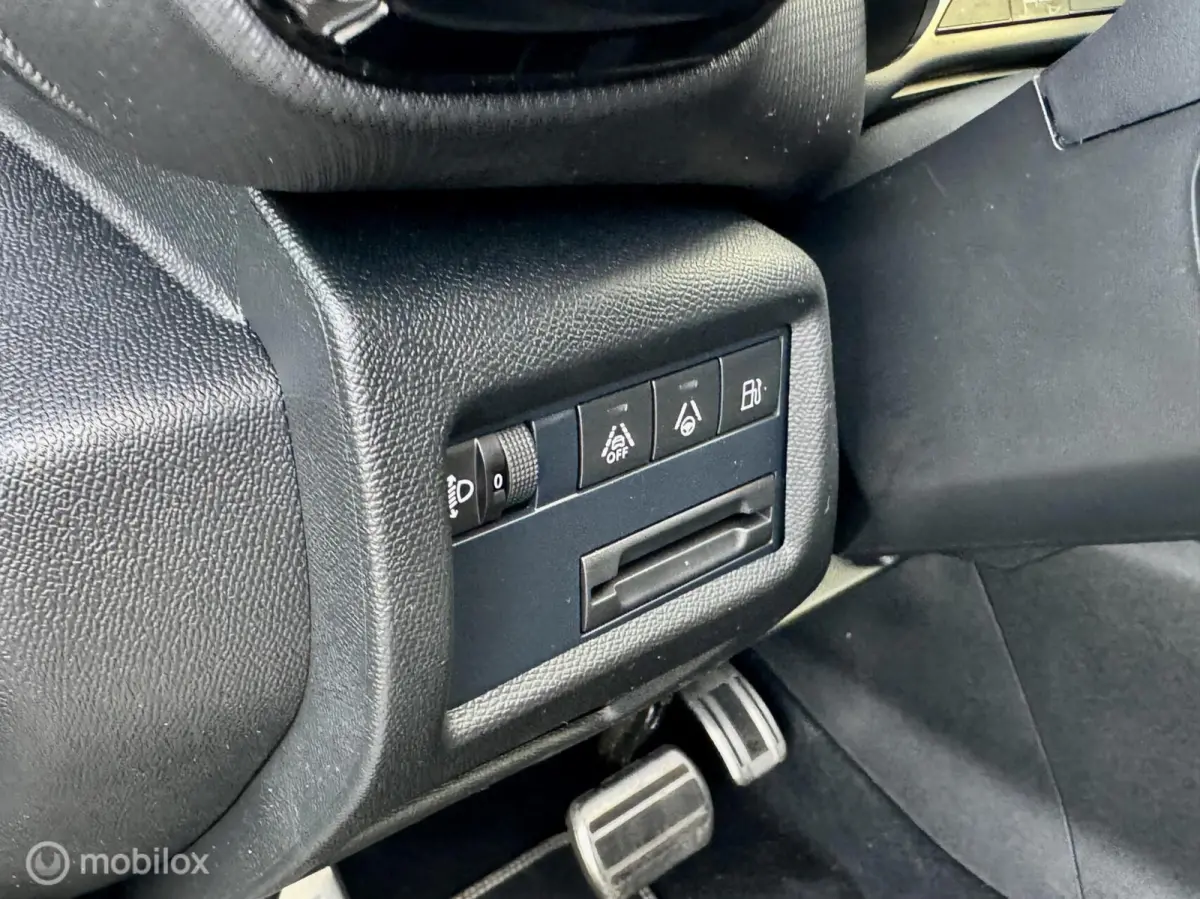 Plug-in Hybrid 225 Shine I Leder I