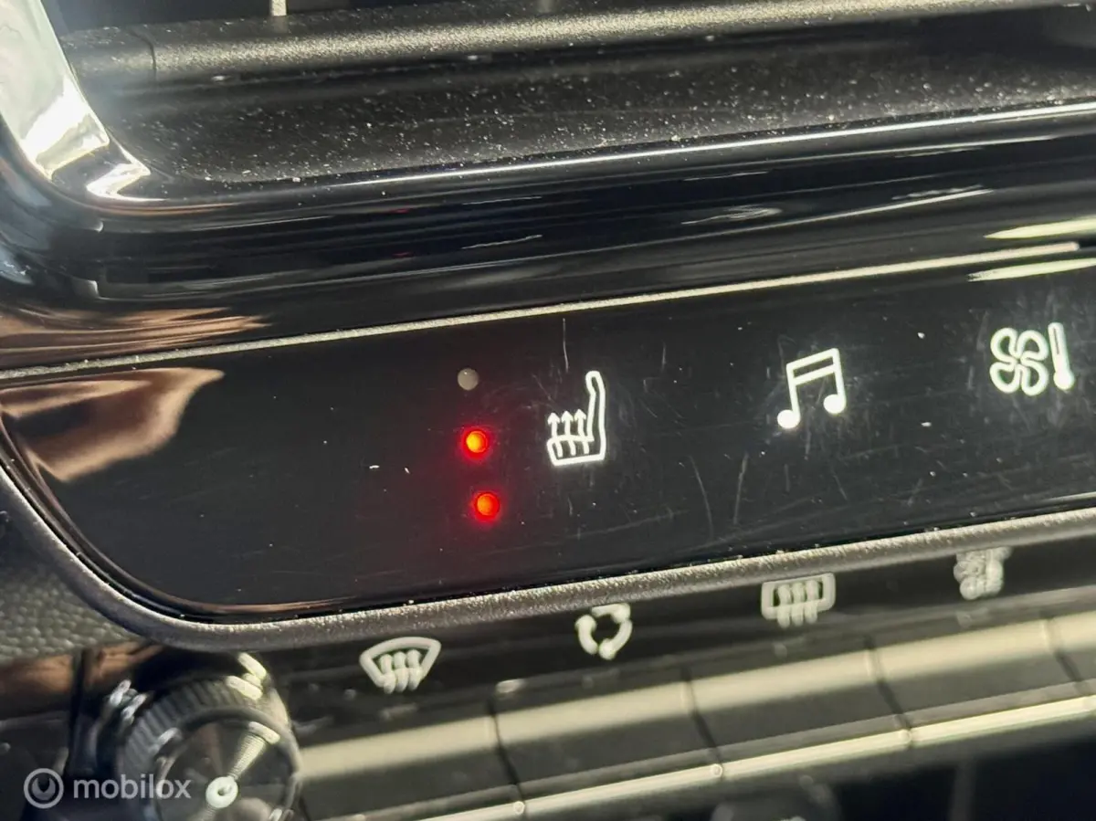 Plug-in Hybrid 225 Shine I Leder I