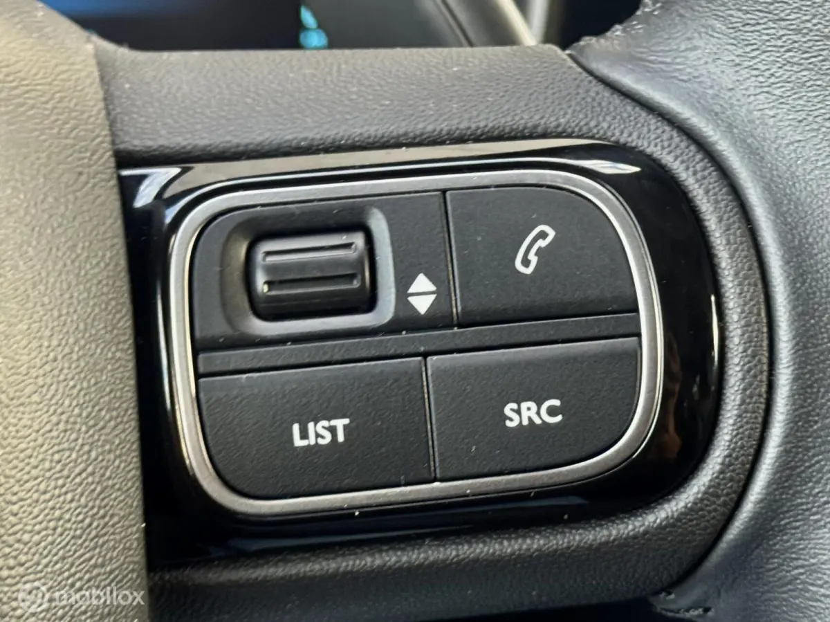 Plug-in Hybrid 225 Shine I Leder I