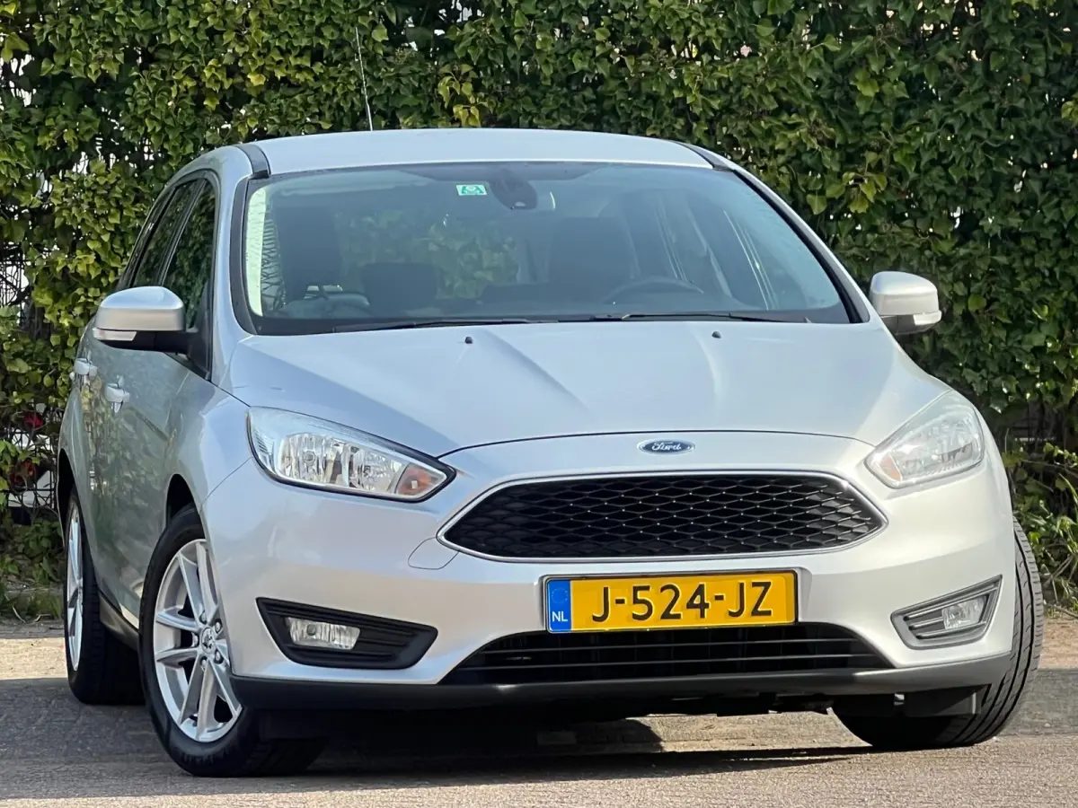 1.0 Titanium 125pk - Moondust Silver - Rijassistensystem/Cruise/Clima