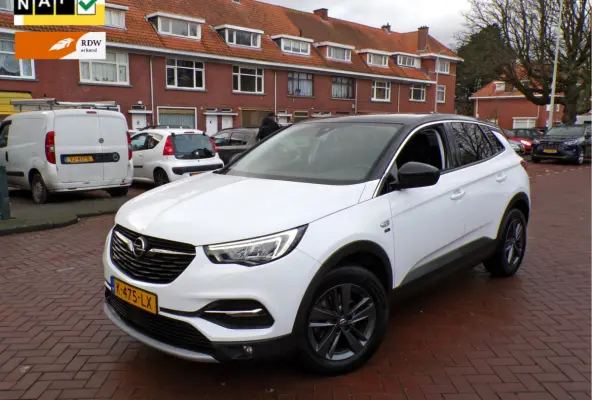 1.2 Turbo Edition 2020 1e EIGENAAR GEHEEL DEALER ONDERHOUDEN..131 PK