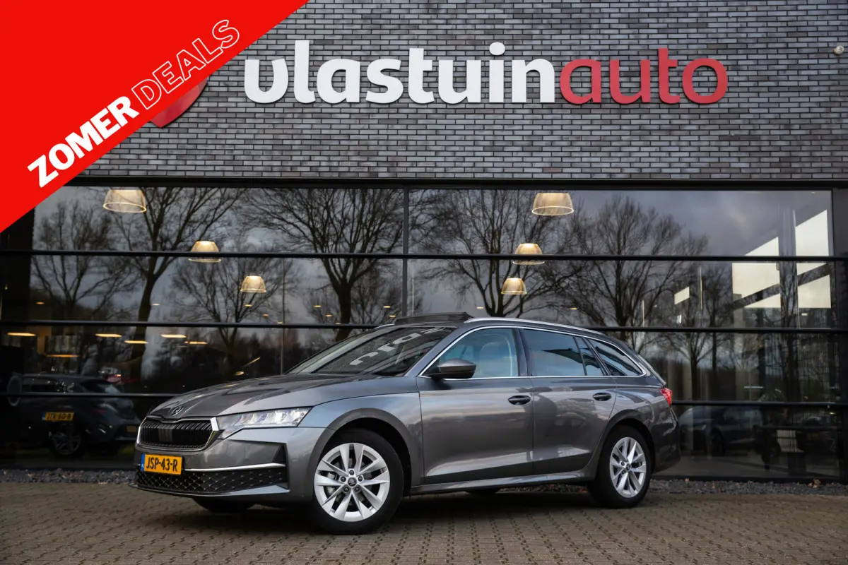 1.5 TSI MHEV Business Edition , Panoramadak, Stuur/stoelverwarming,