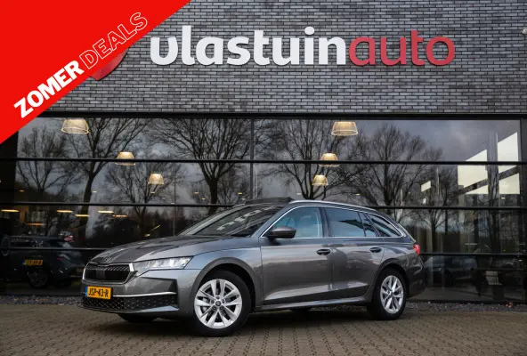 1.5 TSI MHEV Business Edition , Panoramadak, Stuur/stoelverwarming,