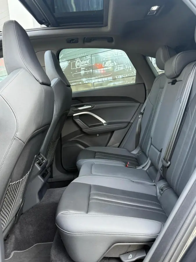 2.0 TFSI e-hybrid quattro S|LUCHTVERING|PANO|MATRIX