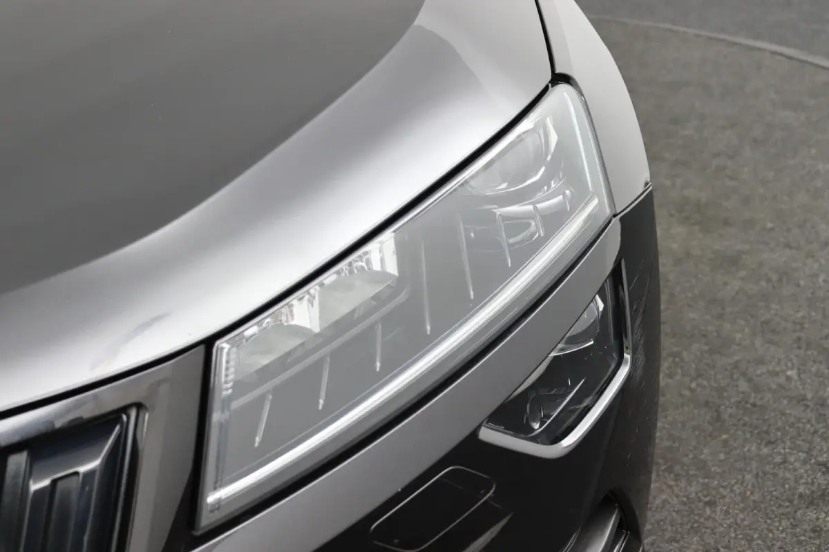 1.5 TSI ACT Sportline Business | Panorama dak |