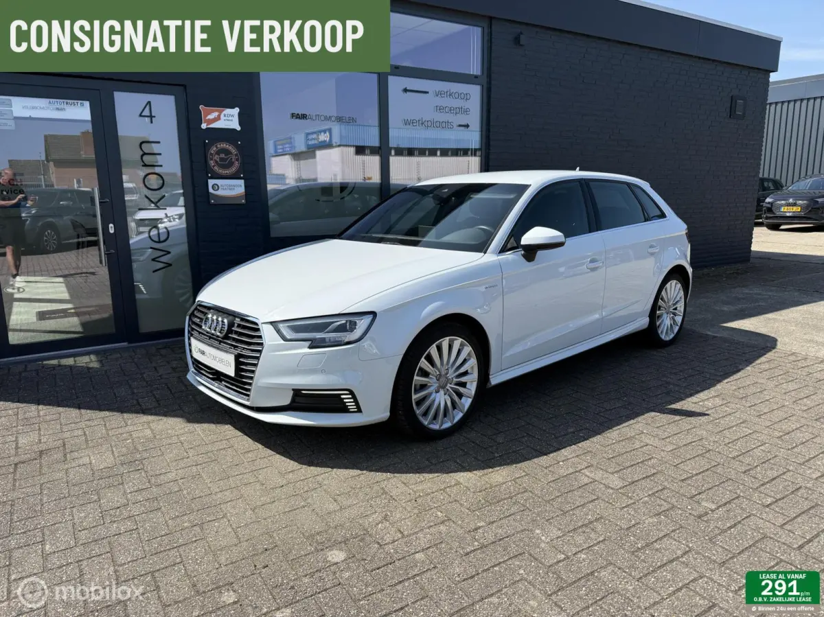 1.4 e-tron Pro Line plus