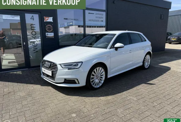 1.4 e-tron Pro Line plus