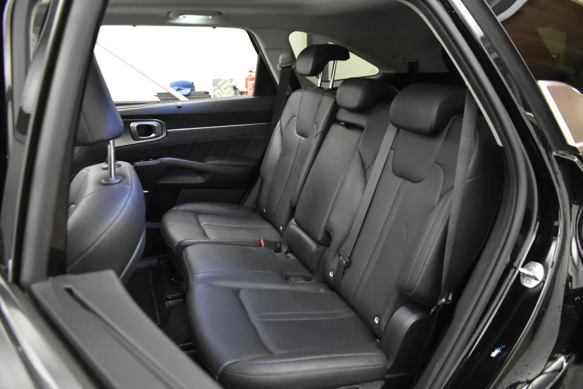 1.6 T-GDI PHEV 4WD 7 Pers Trekh Panodak Vol Leder