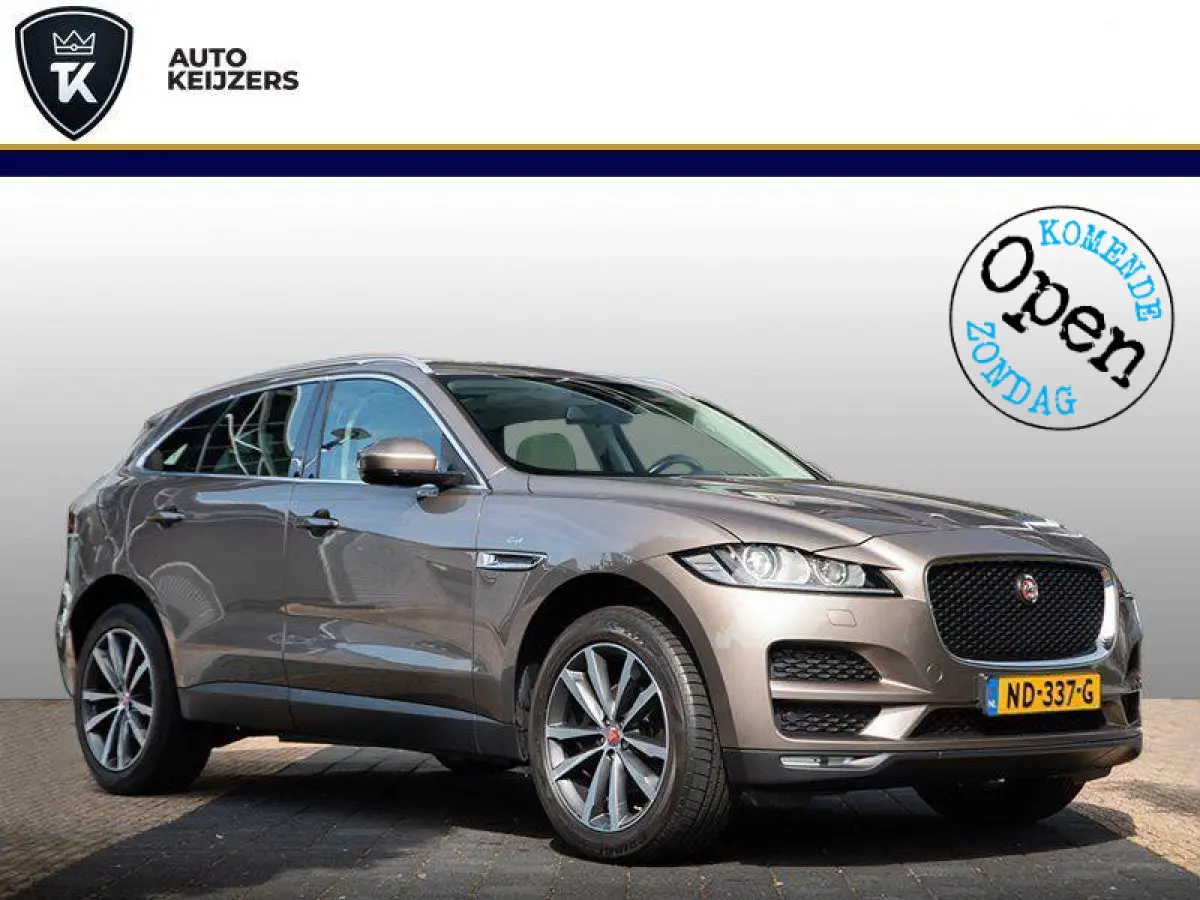 2.0 Portfolio Pano AWD 20d Navi Leer Meridiam Keyless Stoelverwarming Automaat